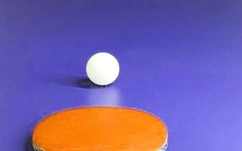 乒乓球训练的工作总结怎么写 乒乓球训练的工作总结范文