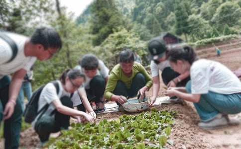 大学生三下乡的活动总结怎么写 大学生三下乡的活动总结报告