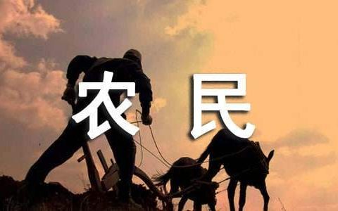 拖欠农民工工资专项行动的执行工作总结怎么写 拖欠农民工工资专项行动的执行工作总结报告