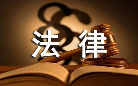 法律事务工作总结希望建议 法律事务工作总结回顾