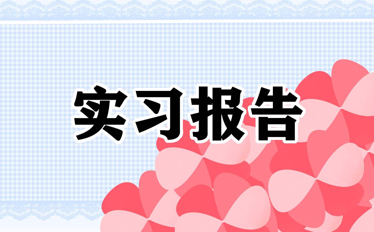 安检实习总结的开头 安检总结3000字