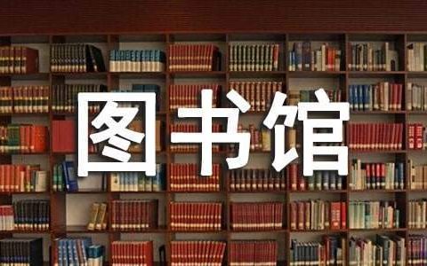 图书馆总结报告 小学图书馆总结