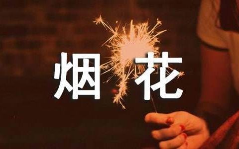 烟花爆竹管理工作总结报告 烟花爆竹管控工作总结