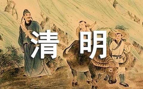 中学生清明节活动总结报告 中学生清明节活动总结怎么写