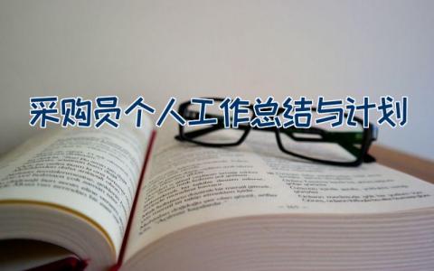 采购员个人工作总结与计划