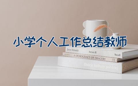 小学个人工作总结教师