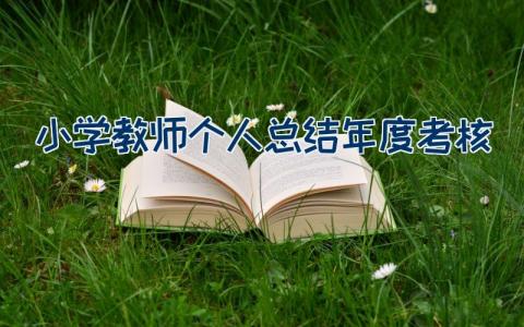 小学教师个人总结年度考核