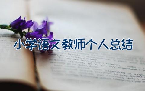 小学语文教师个人总结