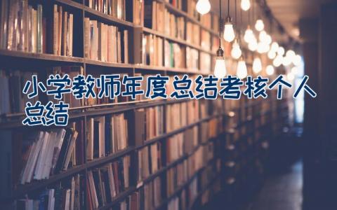 小学教师年度总结考核个人总结