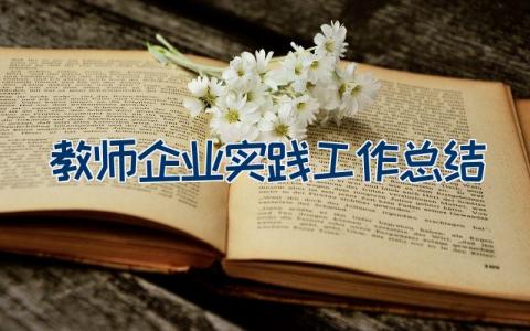 教师企业实践工作总结