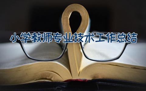 小学教师专业技术工作总结