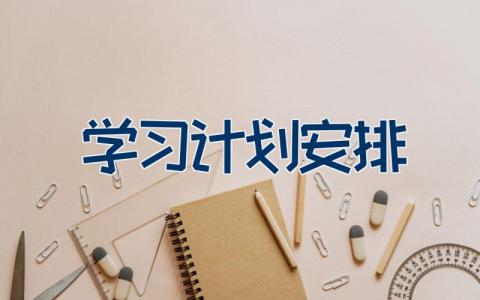 学习计划安排