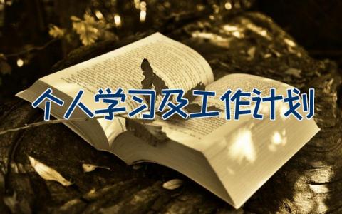 个人学习及工作计划10篇大全