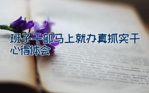 班子干部马上就办真抓实干心得体会