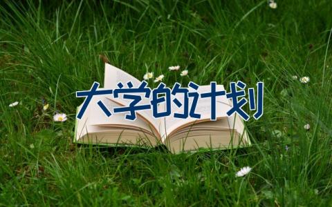 大学的计划