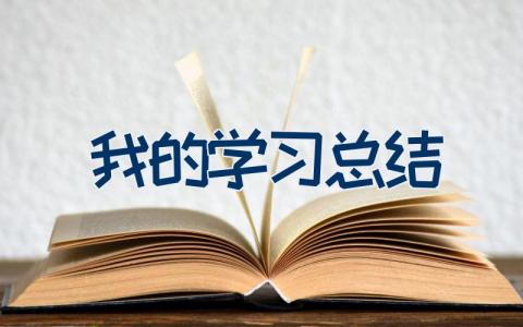 我的学习总结