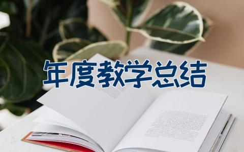 年度教学总结