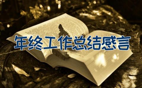 年终工作总结感言 一年工作总结感言怎么写13篇